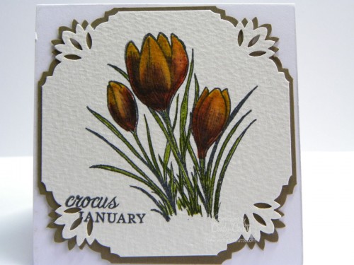January Crocus Mini Card 2